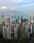 Hong Kong Tote (by Priya Ghosh)