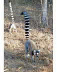 Madagascar Tote (by Isabelle S.)