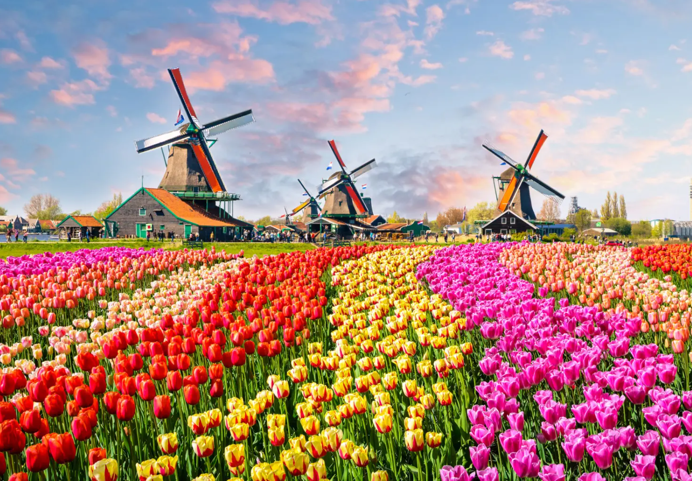 A Fairytale in the Netherlands 🇳🇱