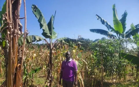 Simon from Uganda 🇺🇬