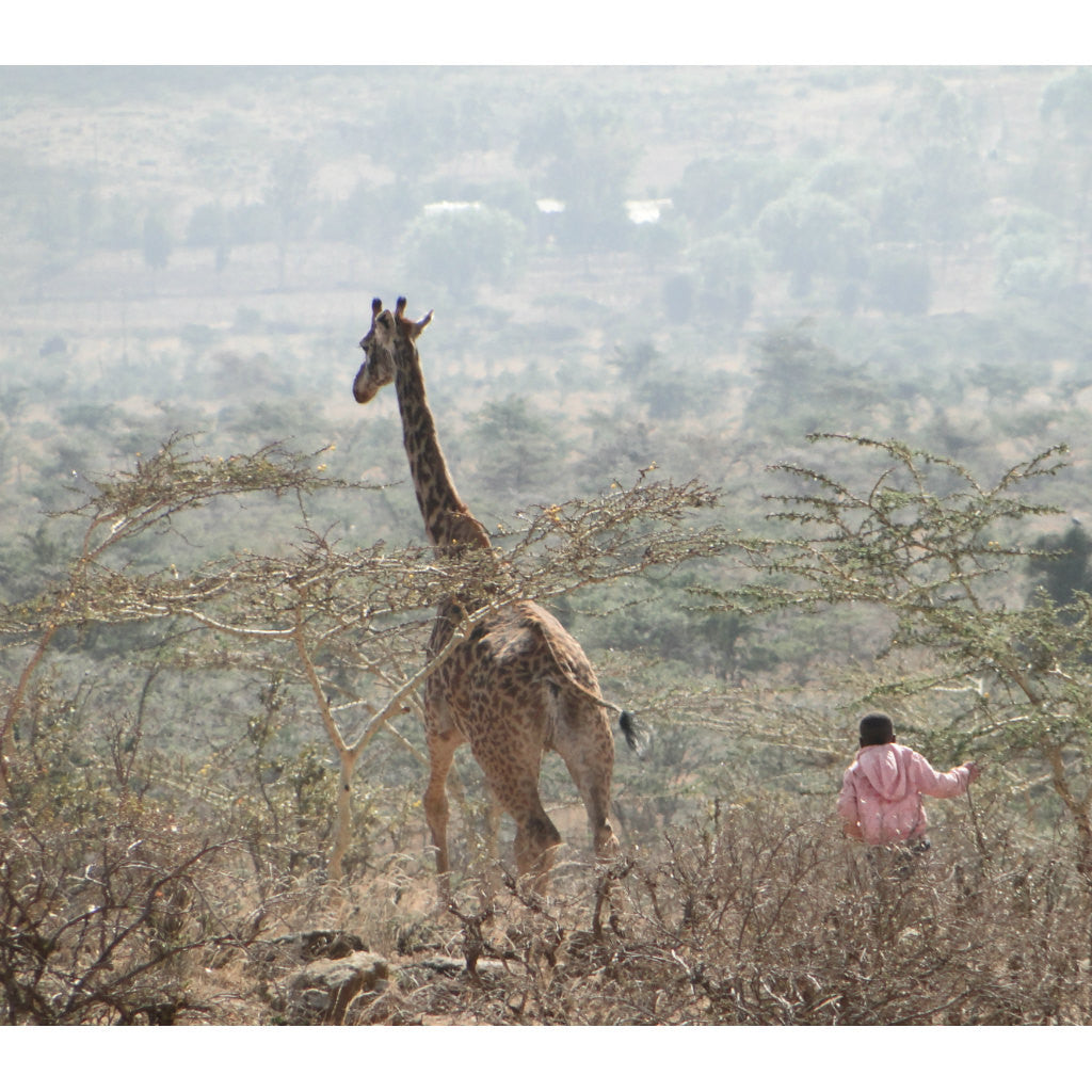 Kenya Tote (by Steve Baroch)