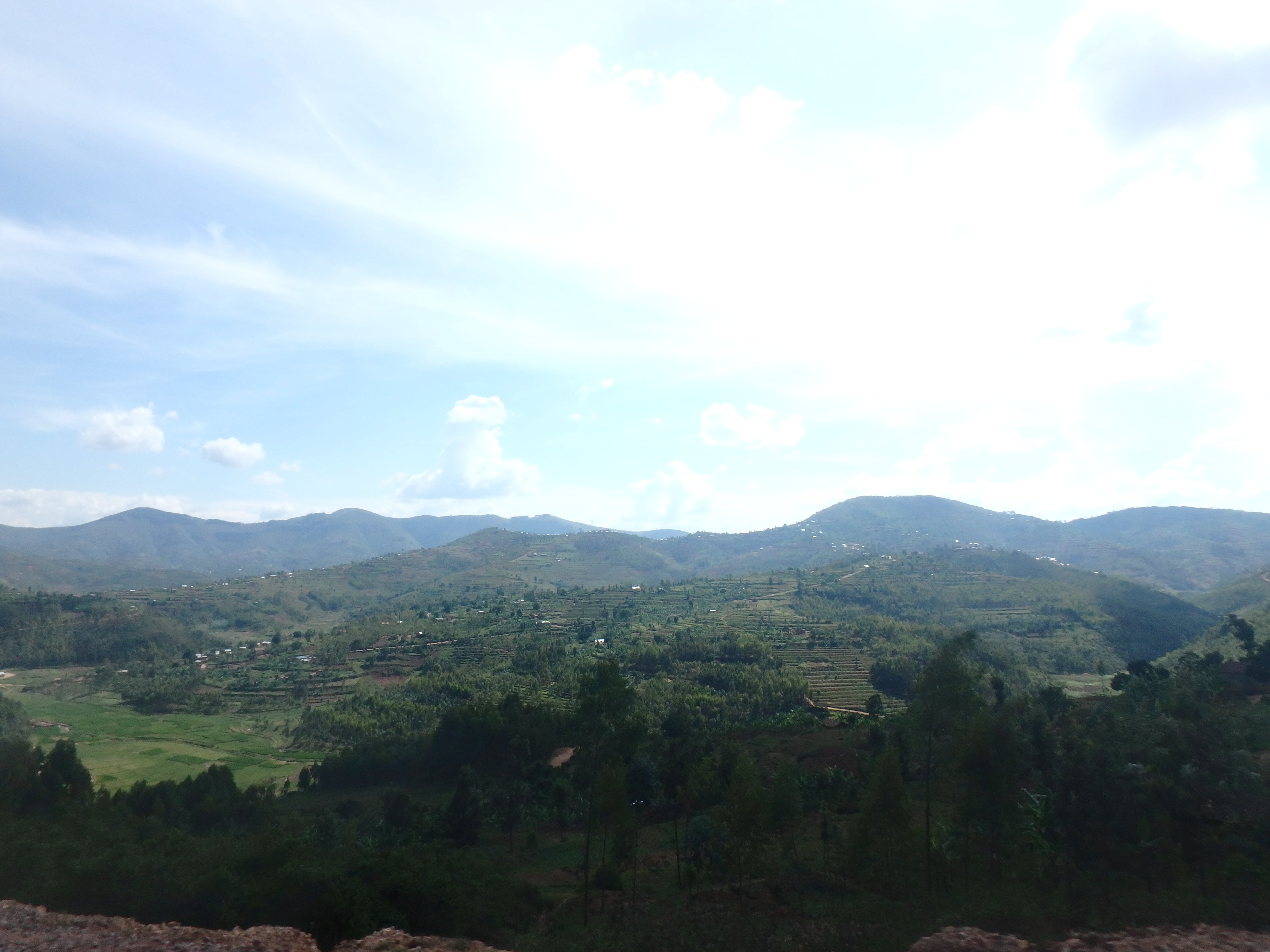 Rwanda Tote (by Farrell Strueber)