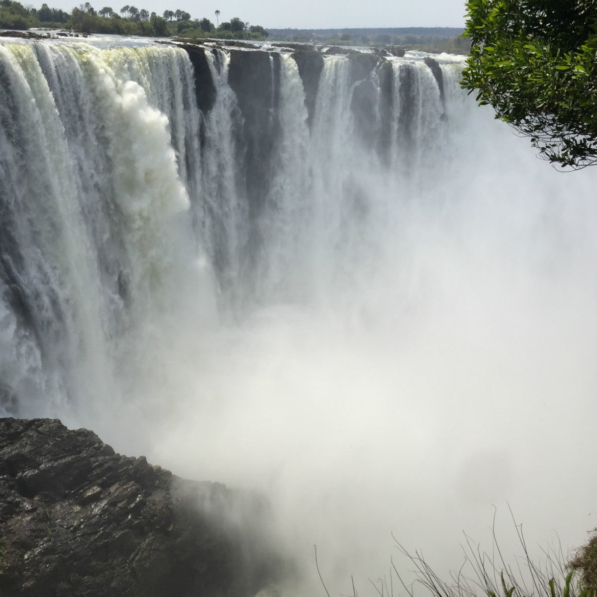 Zimbabwe Tote (by Angie Plante)